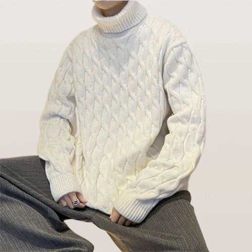 Pull à Col Roulé en Laine pour Homme